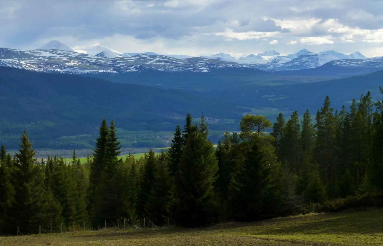 Tronsvangen Seter Alvdal Exterior photo